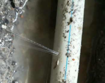 舞阳卫生间测漏水多少钱