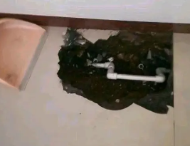 舞阳卫生间测漏水多少钱